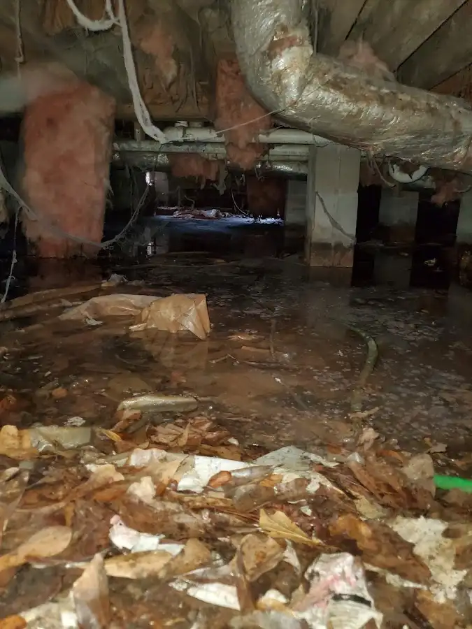 Crawl space flood assessment for Leak Detection & Repair in Corinth